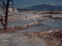 doigshse-yellowstone 050.png