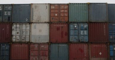 Examining Global Supply Chain Vulnerabilities
