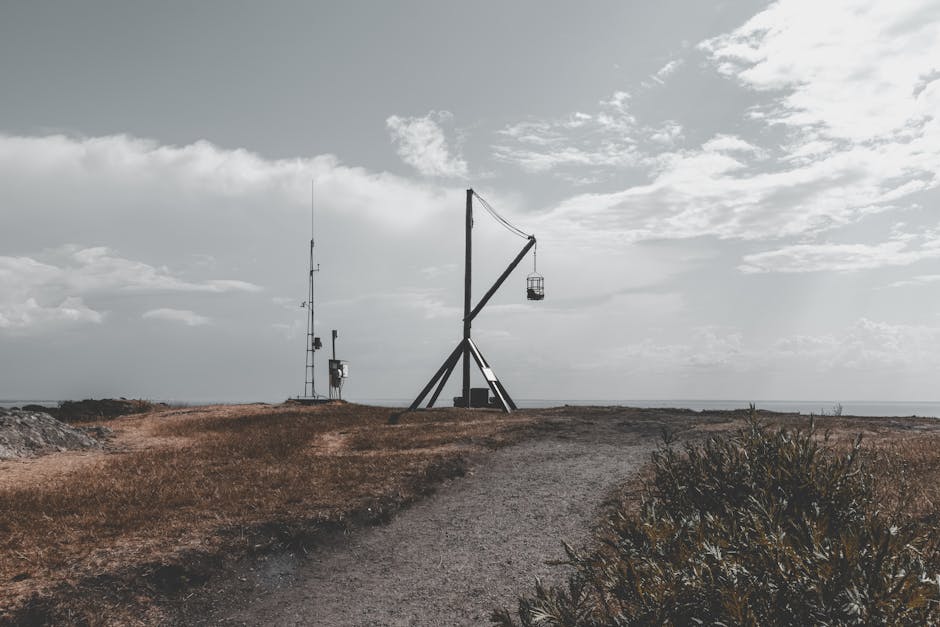 Exploring Climate Policy in 2023