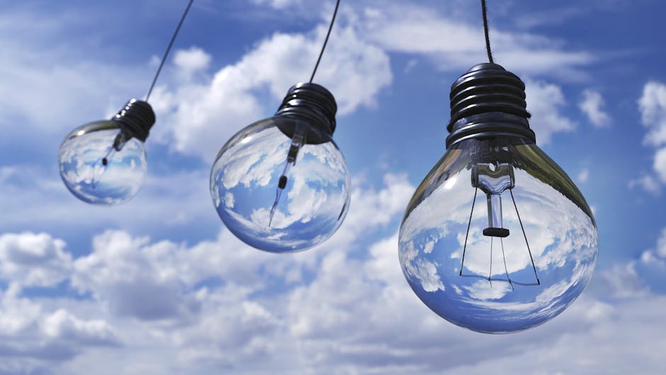 The Debate on Renewable Energy Subsidies