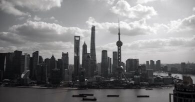 The Rise of China: A Global Perspective
