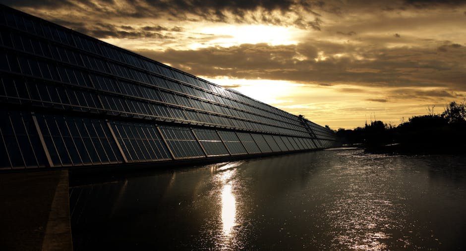 The Debate on Renewable Energy Subsidies