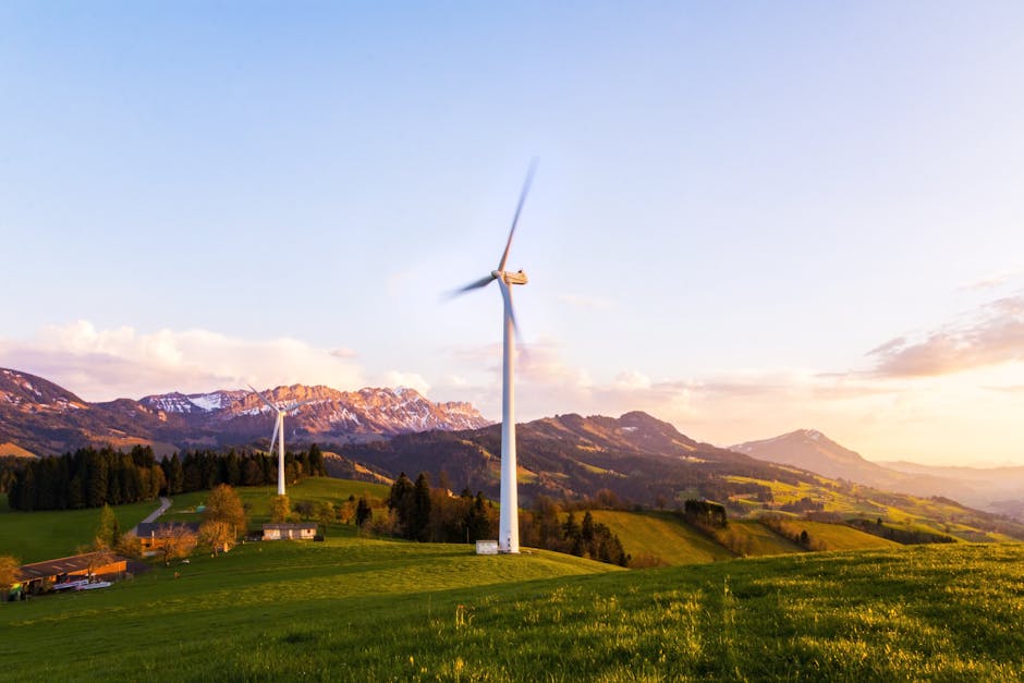 The Debate on Renewable Energy Subsidies