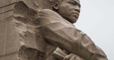 Political Trends: What History Teaches Us