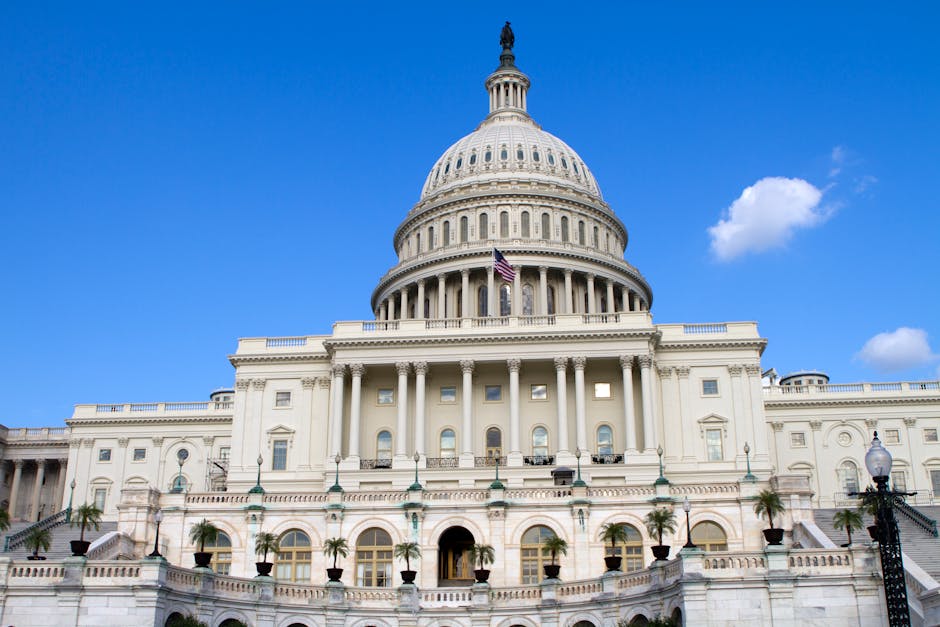 Political Trends: What History Teaches Us