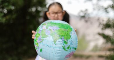Geopolitical Implications of Natural Disasters