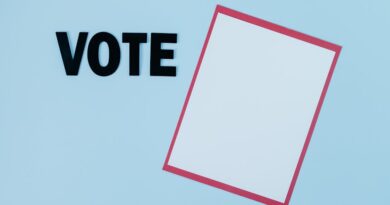 Voter Motivation: What Drives Participation?