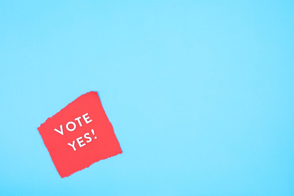 Voter Motivation: What Drives Participation?