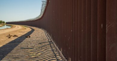 How Immigration Shapes Political Landscapes