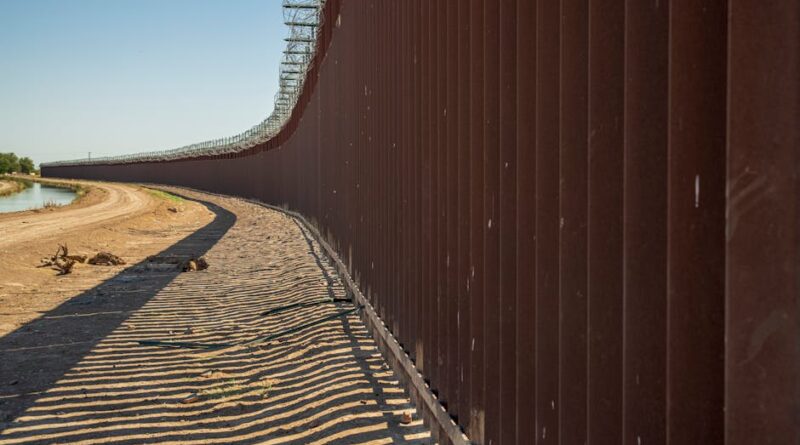 How Immigration Shapes Political Landscapes