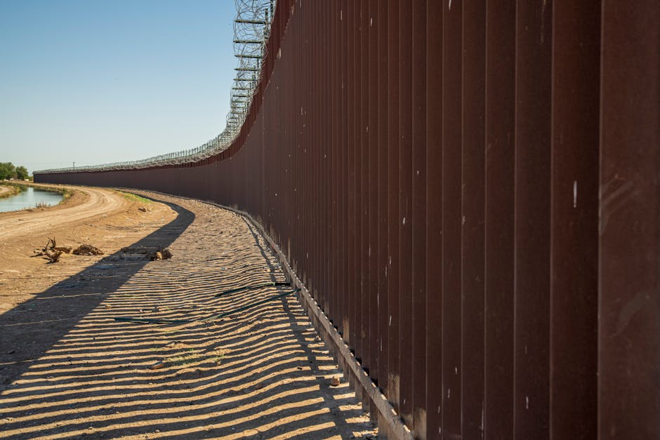 How Immigration Shapes Political Landscapes