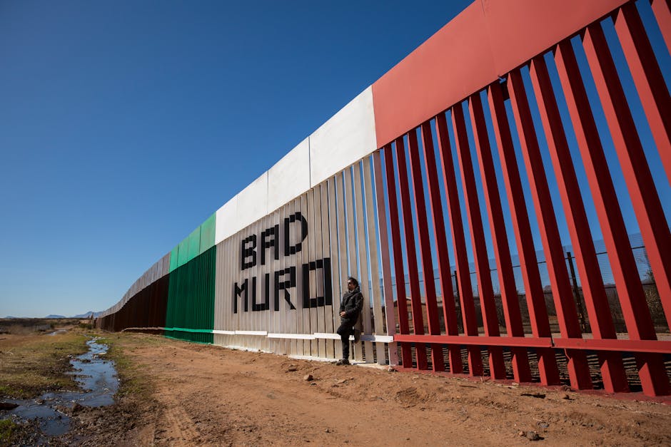 How Immigration Shapes Political Landscapes