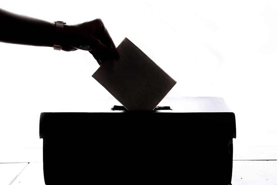 Voter ID Laws: Pros and Cons