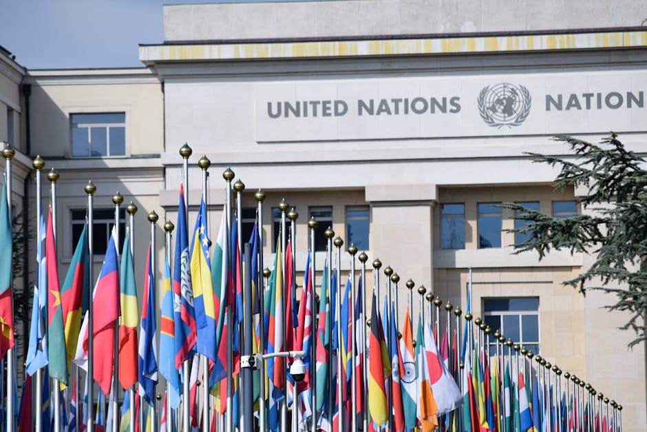 The Importance of Cultural Diplomacy Today
