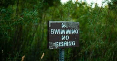 The Debate over Environmental Regulations