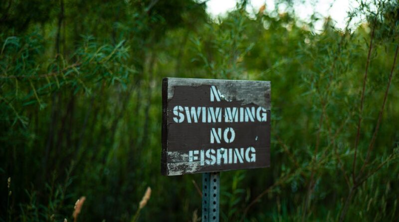 The Debate over Environmental Regulations