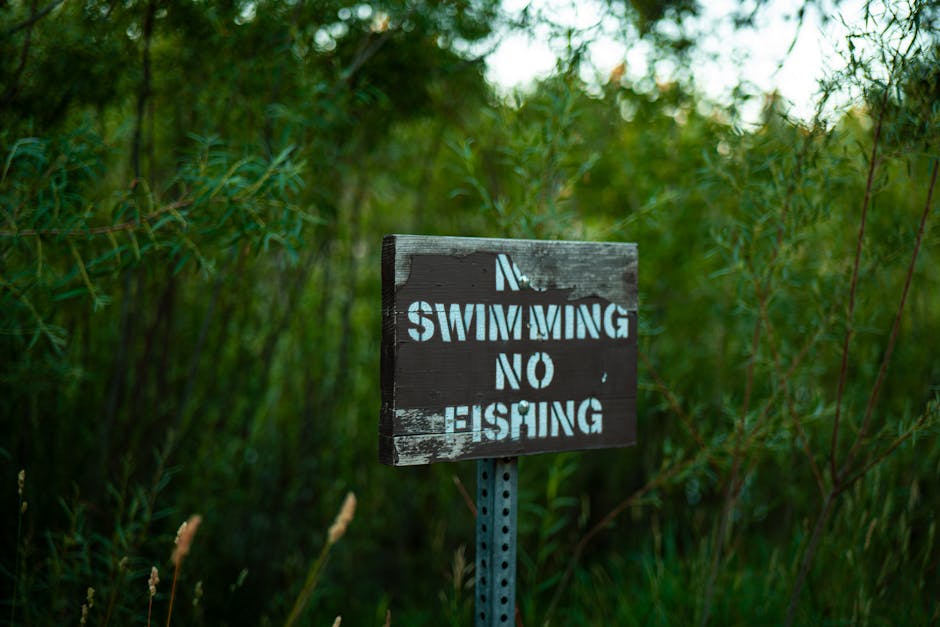 The Debate over Environmental Regulations