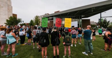 Navigating Political Change in a Crisis