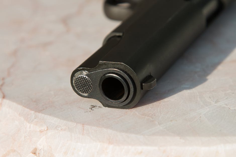 Gun Control: Balancing Rights and Safety